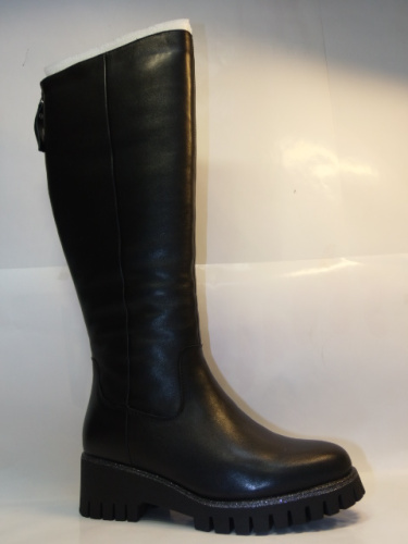 Francesco Donni  (сап.жен. черн.молния, зима)