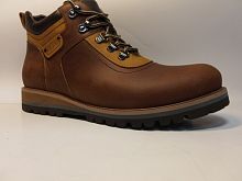 VITO (бот. муж.кор, шнур/молн, зима)