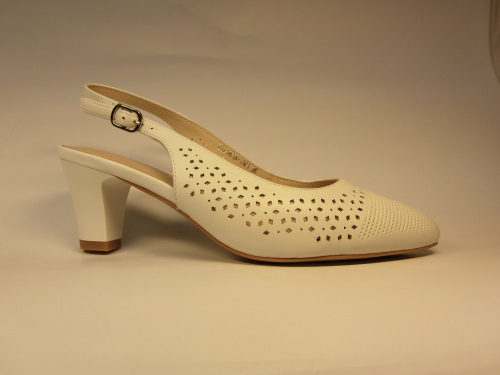 SALAMANDER (т.жен. бел. откр. лето)