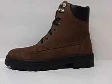 Romer (бот.жен. кор,шнур/молн.,зима)