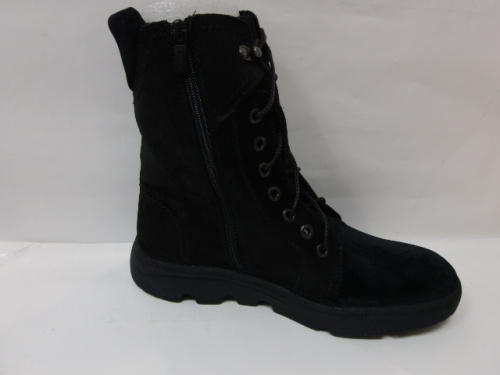Romer (бот.жен. черн,шнур/ молн,зима)