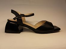 SALAMANDER (т.жен. черн. открыт. лето)