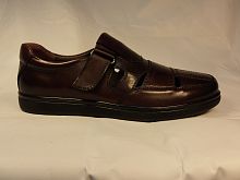 SALAMANDER (т. муж, т-корич, .отв. лето)