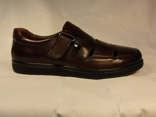 SALAMANDER (т. муж, т-корич, .отв. лето)