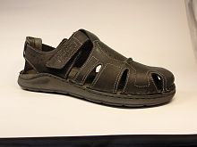 Josef Seibel (санд.муж. черн. на липе лето)