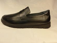 ROMER (т. муж. черн, языч. лето)